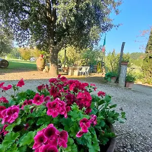 Azienda Agricola Polveraia Bauernhof